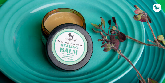 Dog Balm