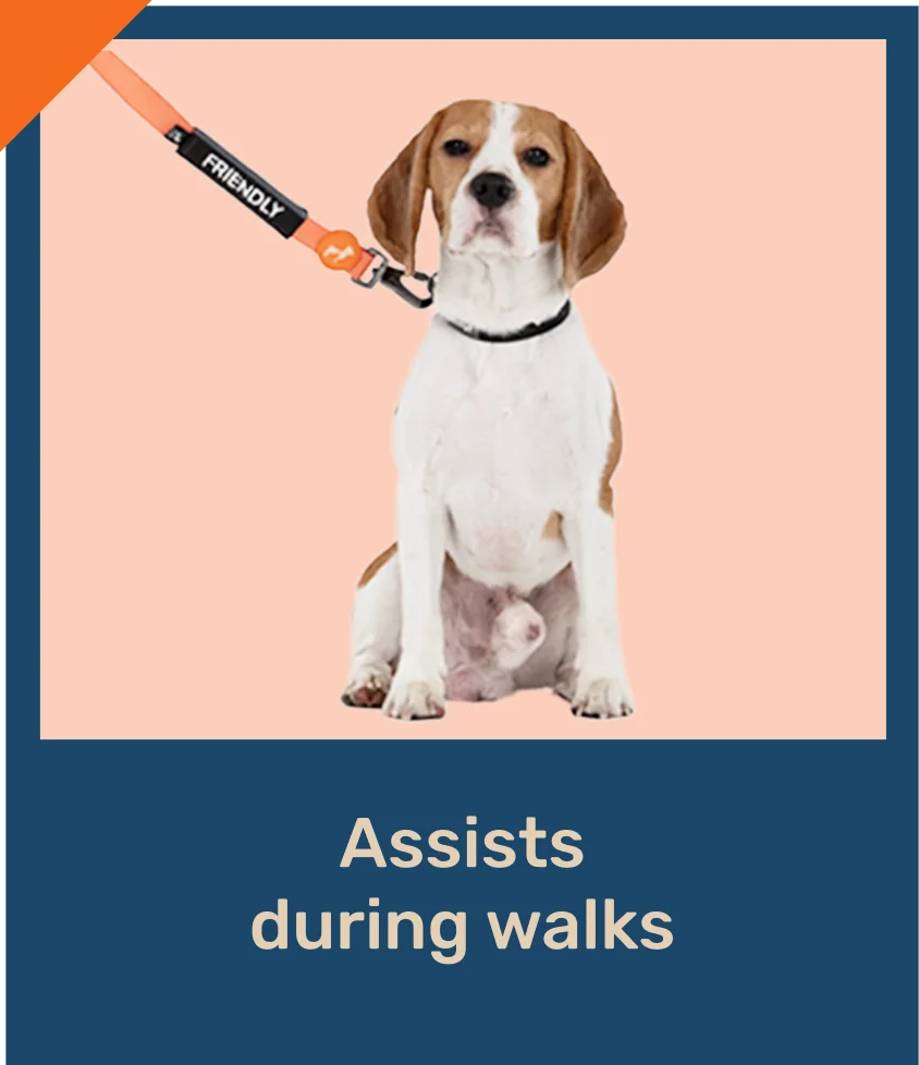 Trooper-LEASH