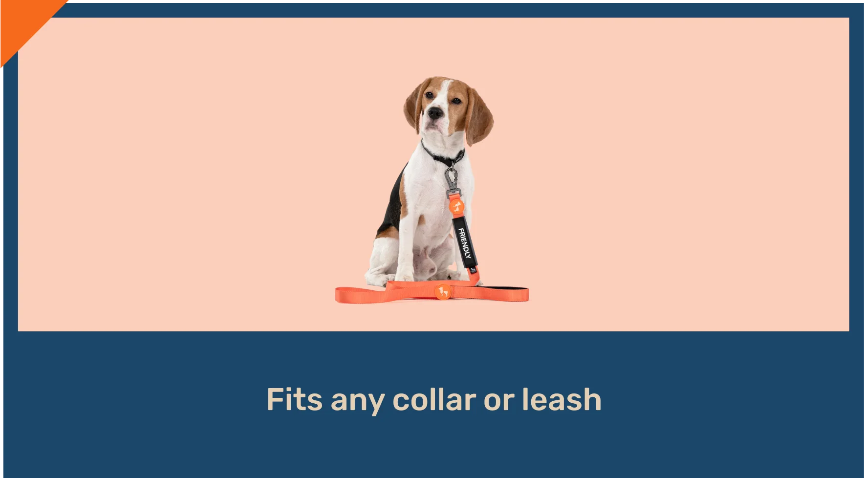 Trooper-LEASH