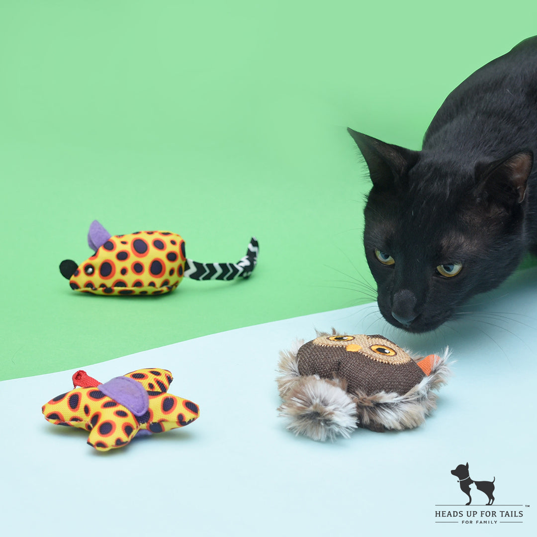 CRINKLE CAT TOYS