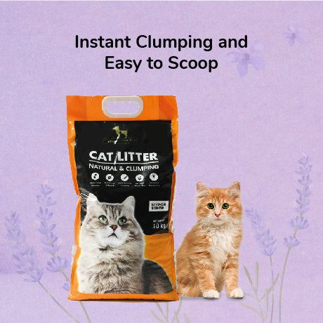 HUFT Cat Litter (Natural & Clumping) - Lavender Scented - 10 kg