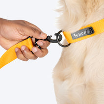 HUFT Personalised Basics Dog Leash - Yellow Nav Image 3
