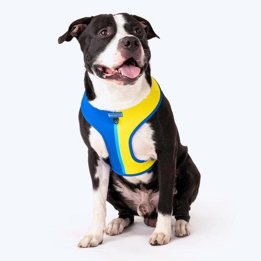 Buy Dog Leash Flexi Vario in our shop online