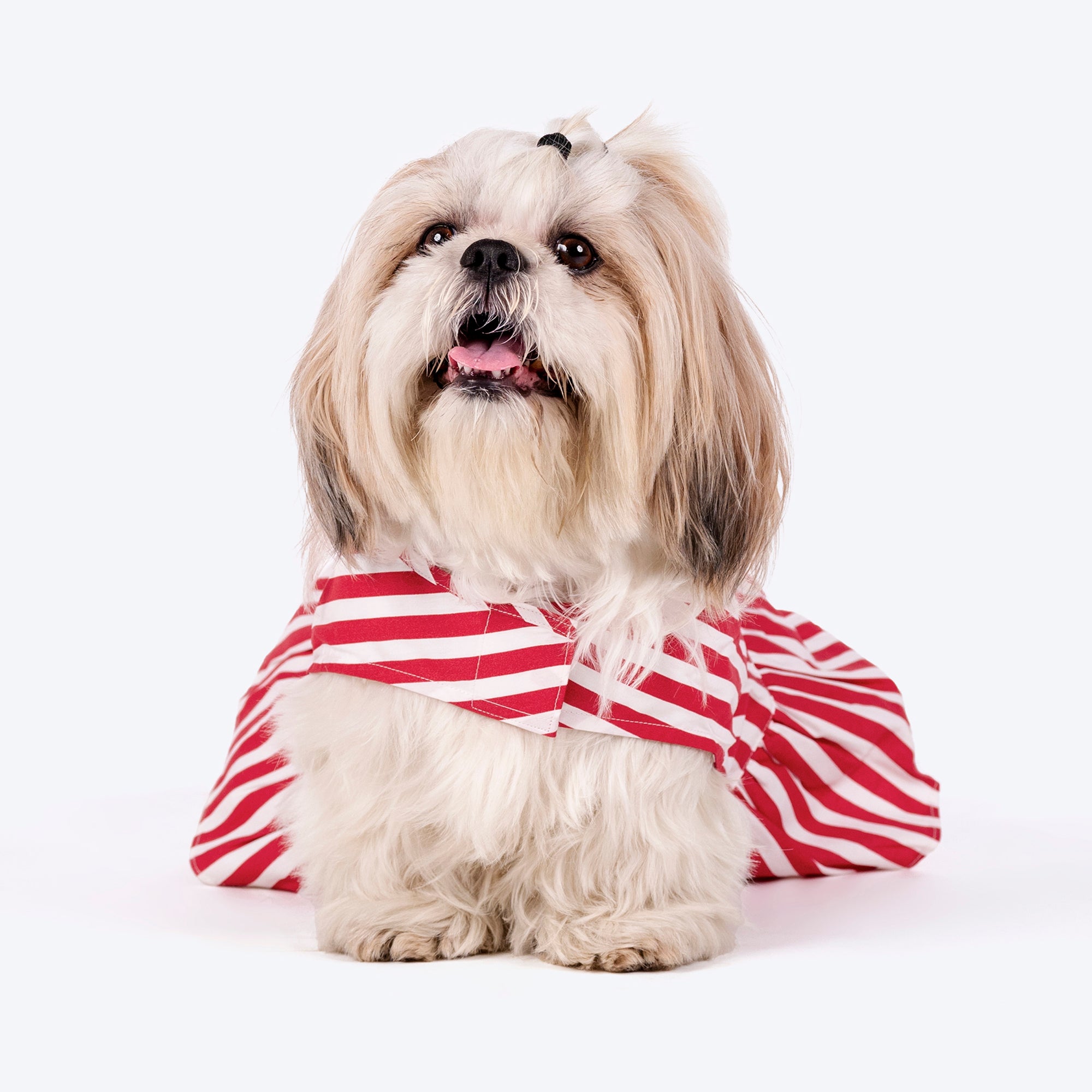

HUFT Printed Cotton Stripe Dress For Dog - Red