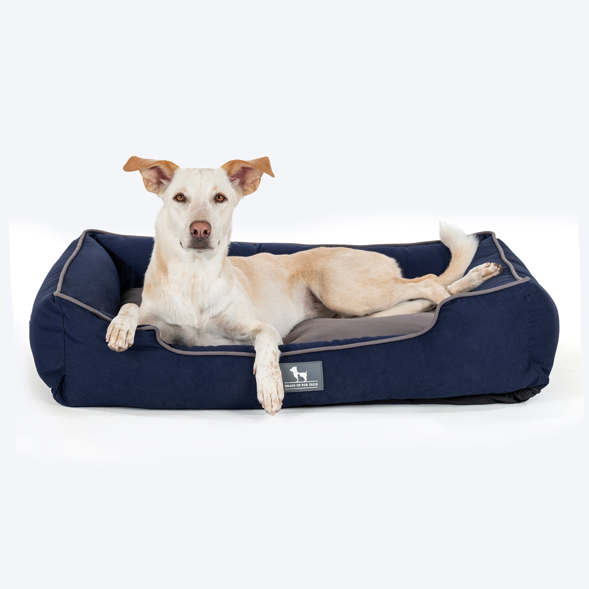 

HUFT Classic Lounger Dog Bed - Grey & Navy