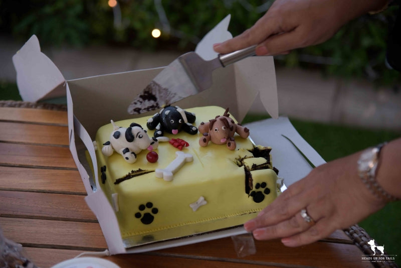 dog and cat cake