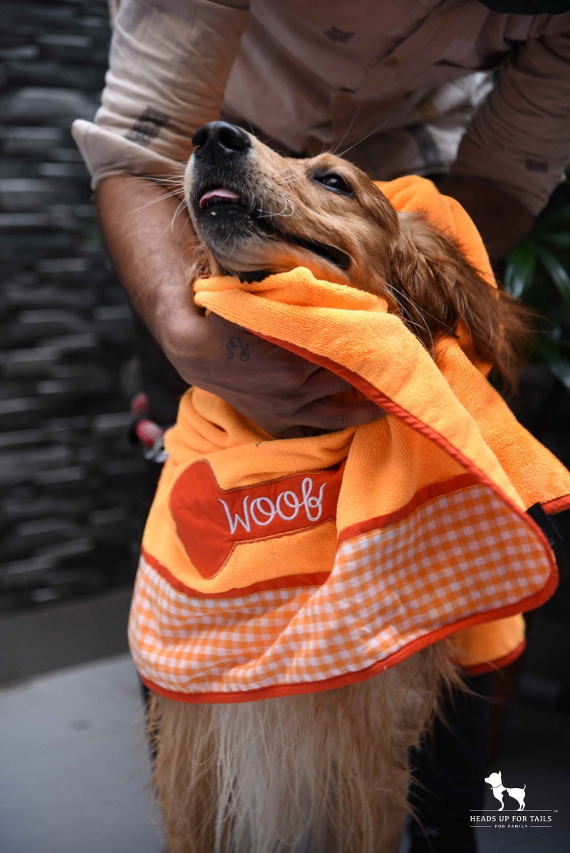 dog wearing towel