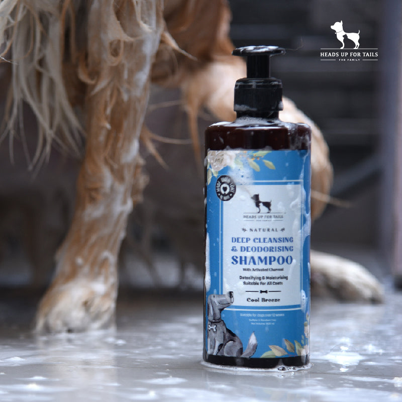 Dog shampoo & conditioner