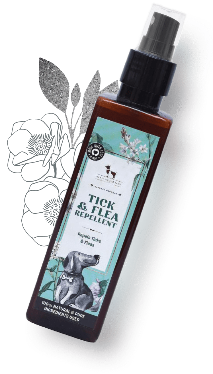 Vegane Spray, Online Shop