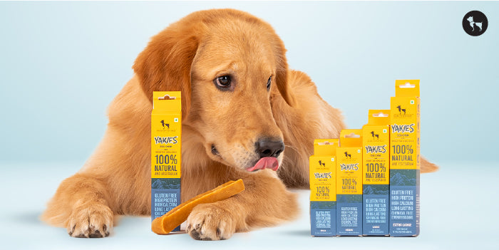 Dog Dental Chews Treats