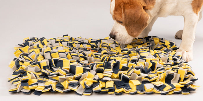 A dog playing with a HUFT snuffle mat