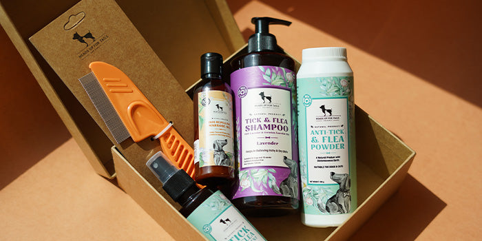 a hamper of HUFT products