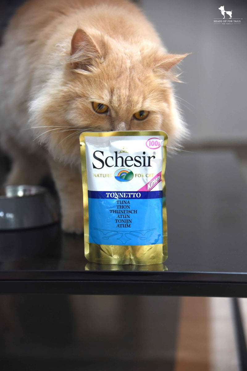 Schesir wet cat food