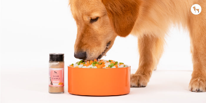 Benefits Of Food Toppers For Dogs