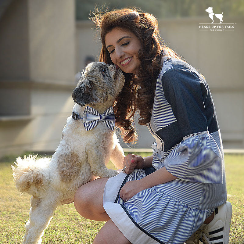 dog sharing love with trainer