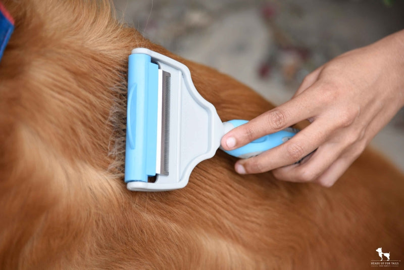 Dog grooming