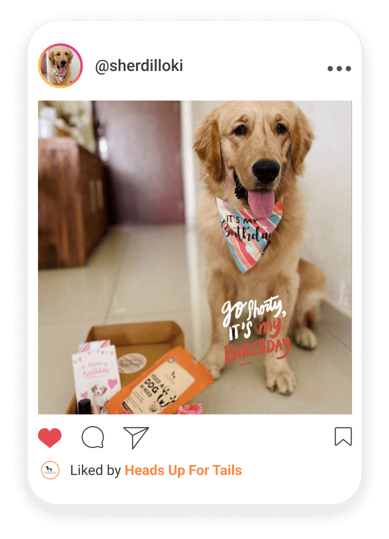HUFT Birthday Club: Celebrate Your Pets Birthday with Our Free Gift ...