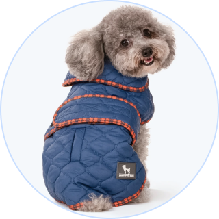 Dog Jackets - Buy Quality Dog Jackets & Puppy Coats Online – Heads Up ...