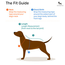 HUFT Snuggle Streetie Foundation Dog Jacket - Pack Of 3 Nav Image 13
