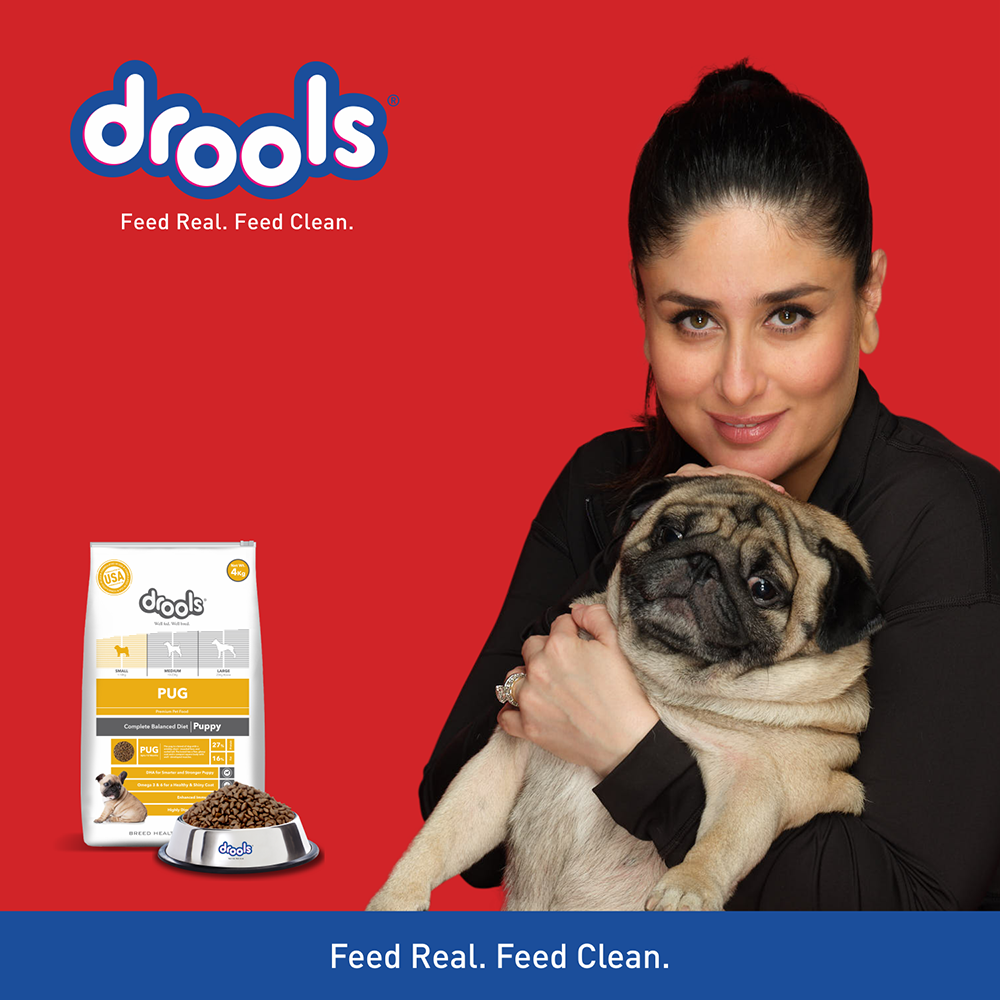 Drools Pug Puppy Premium Dog Food – Heads Up For Tails
