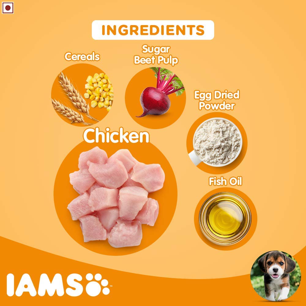 iams medium puppy food