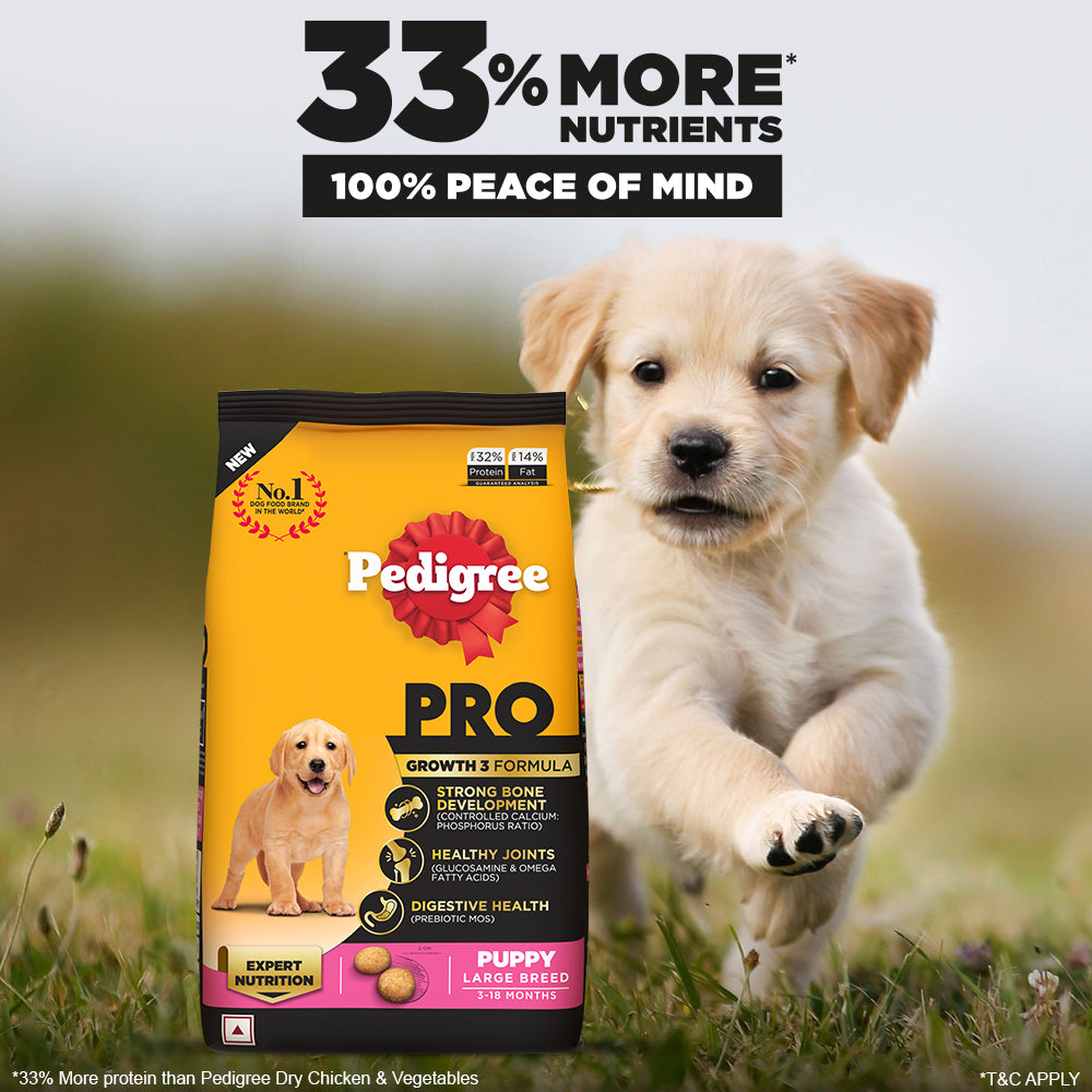 Pedigree Wet Dog Food PRO Expert Nutrition Food for Large Breed ...