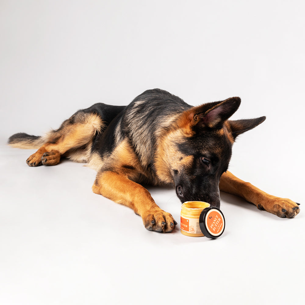 can my german shepherd eat peanut butter