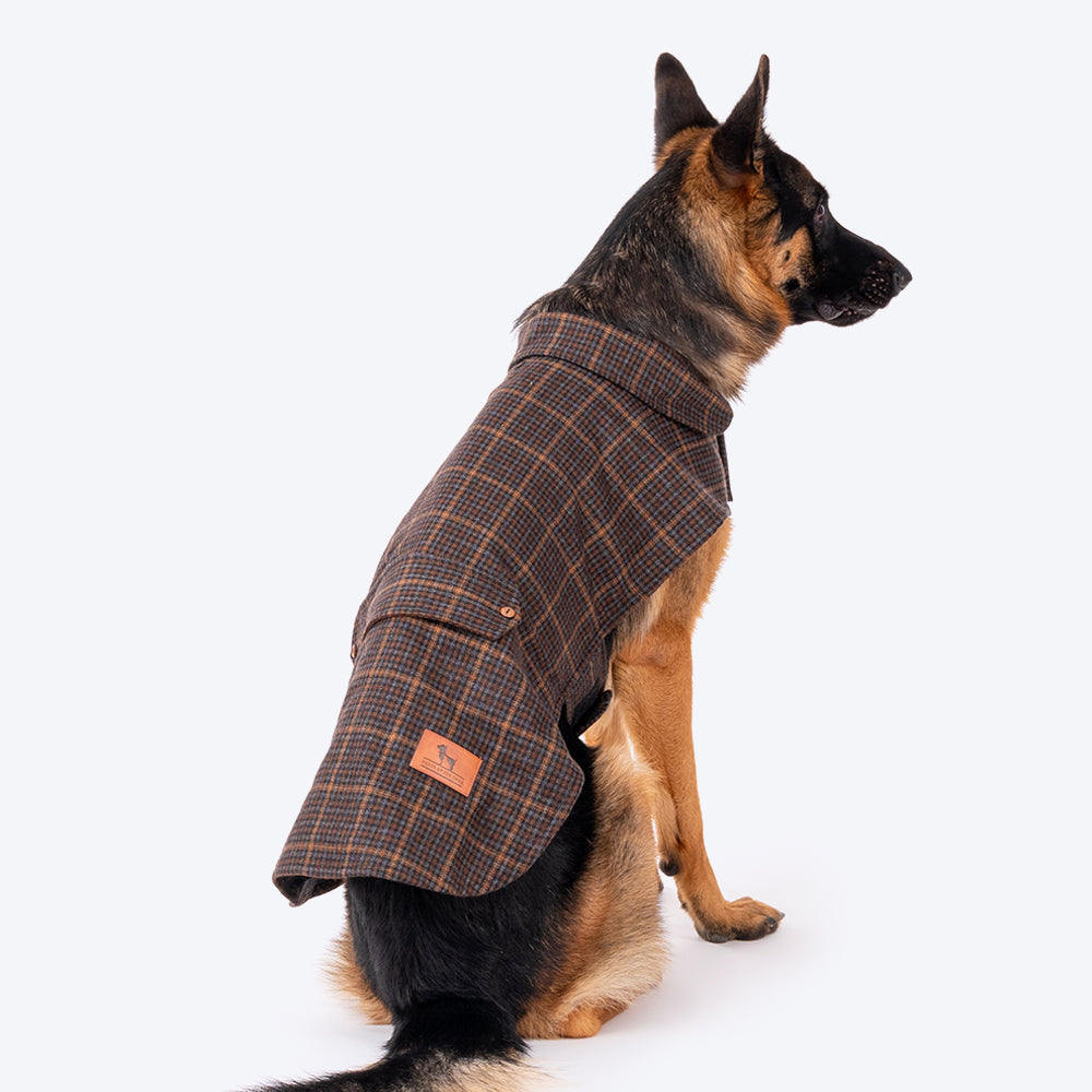 dog ki jacket