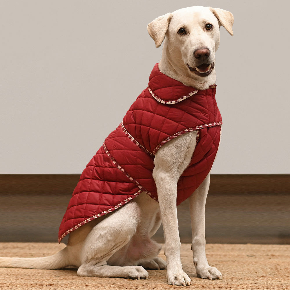 Buy HUFT Grrrberry Quilted Dog Jacket - Maroon – Heads Up For Tails