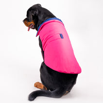 HUFT Cosy Pupper Reversible Dog Jacket - Denim Blue Nav Image 9