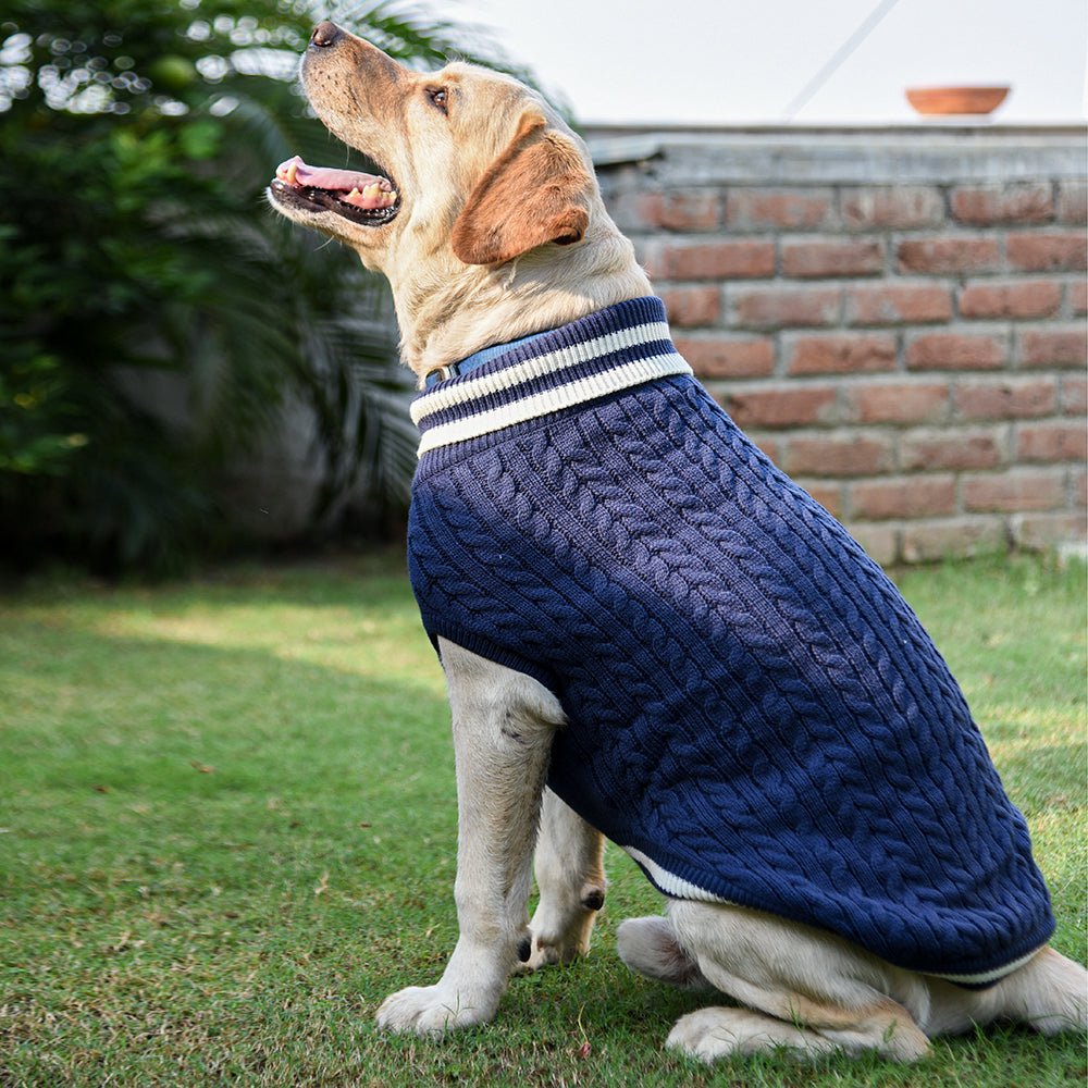 HUFT Striped Cable Knit Dog Sweater - Navy | Dog Sweaters Online– Heads ...