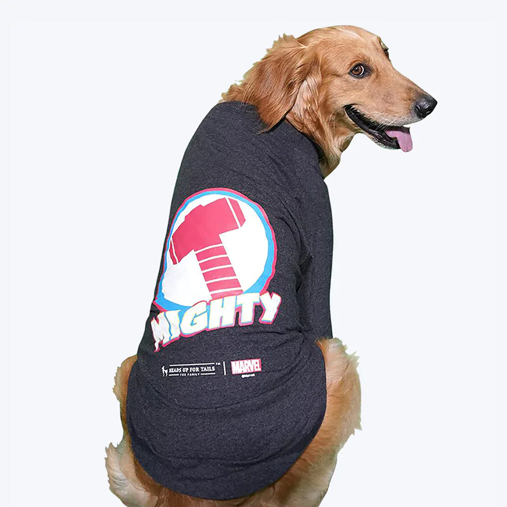HUFT X©Marvel Thor T-Shirt For Dogs – Heads Up For Tails