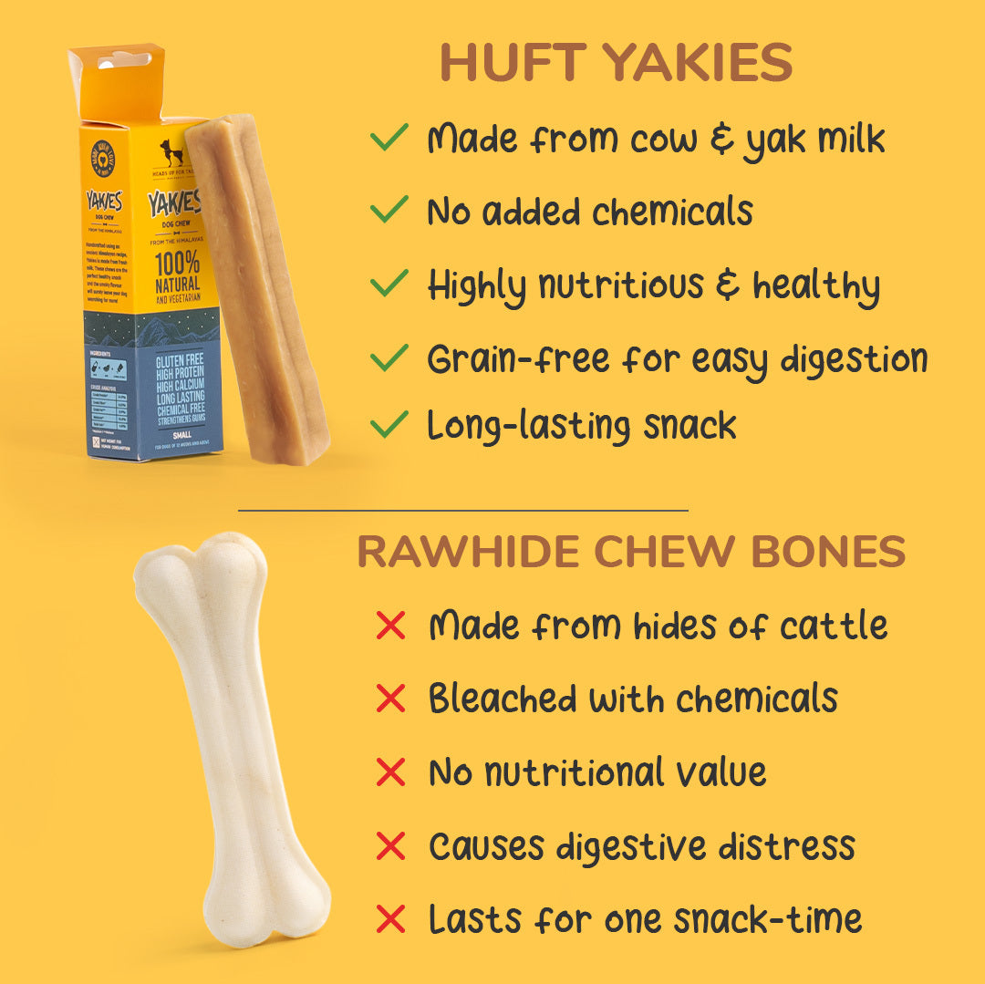 are dog chew bones safe