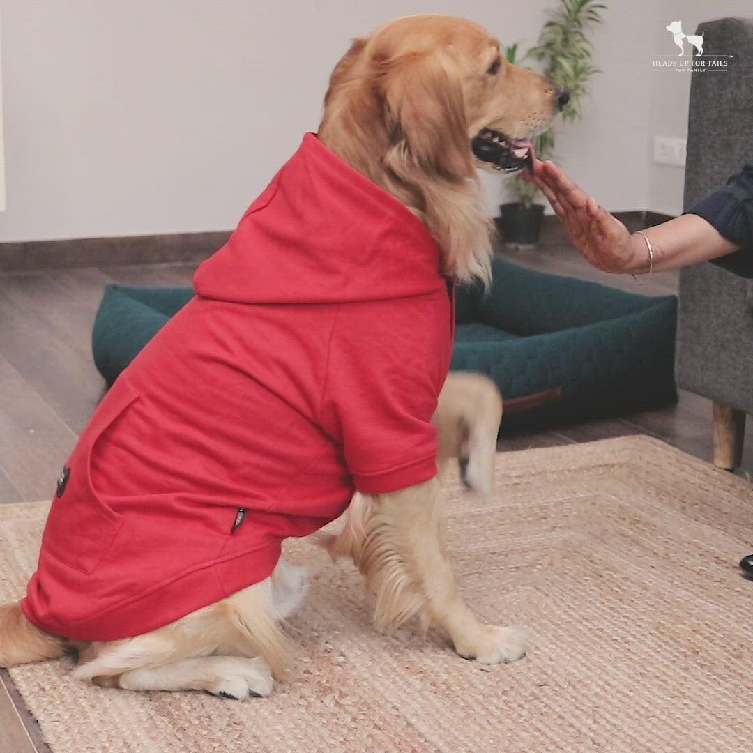 sweat shirt for dogs