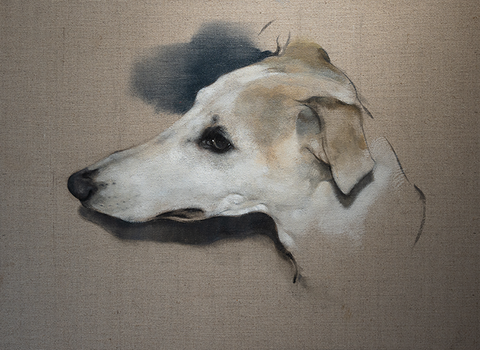 Justin Coburn - Whippet Head Study