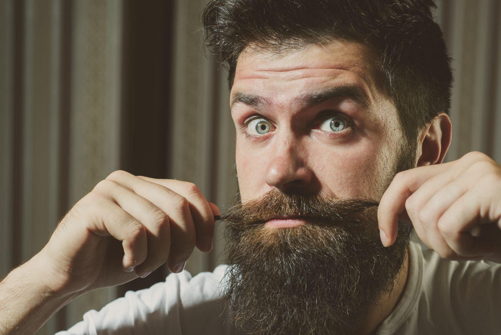 Beard Frizz? Take control of your Beard