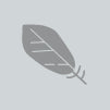 kairos_icon_vitality