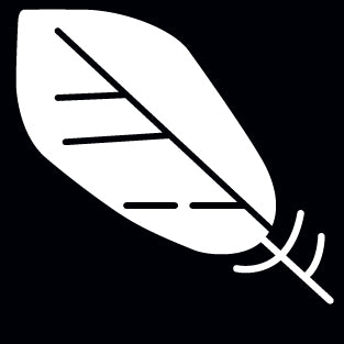 paragon_icon_relief