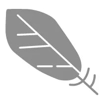 maestroLE_2