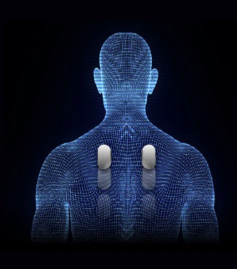 Monarch_Body_Scan