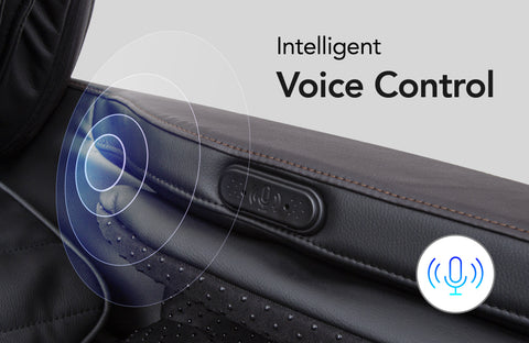 Voice Control