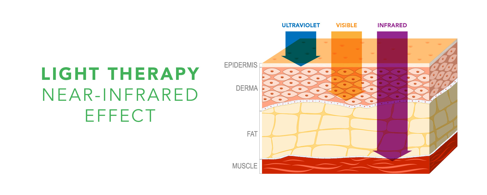 Light Therapy Near-Infrared Effect