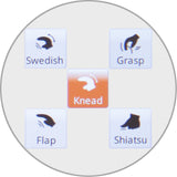 5 Massage Style - Kneading, Flapping, Swedish, Grasping and Shiatsu.