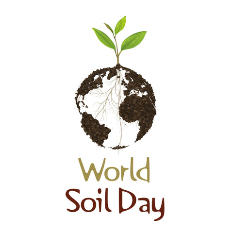 world soil day planet green