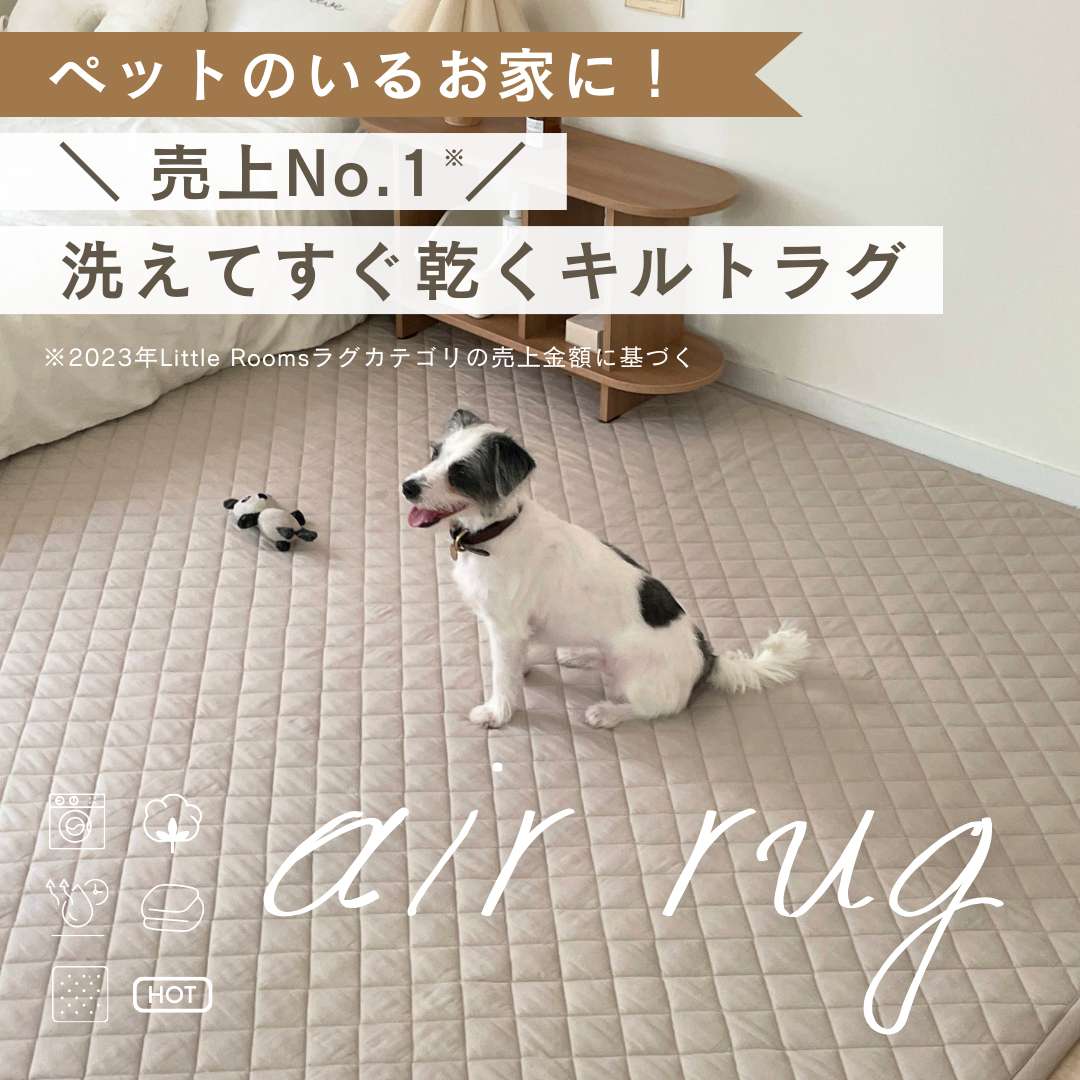 ペットがいるお家に！売上No.1おしゃれな洗えるラグ air rug