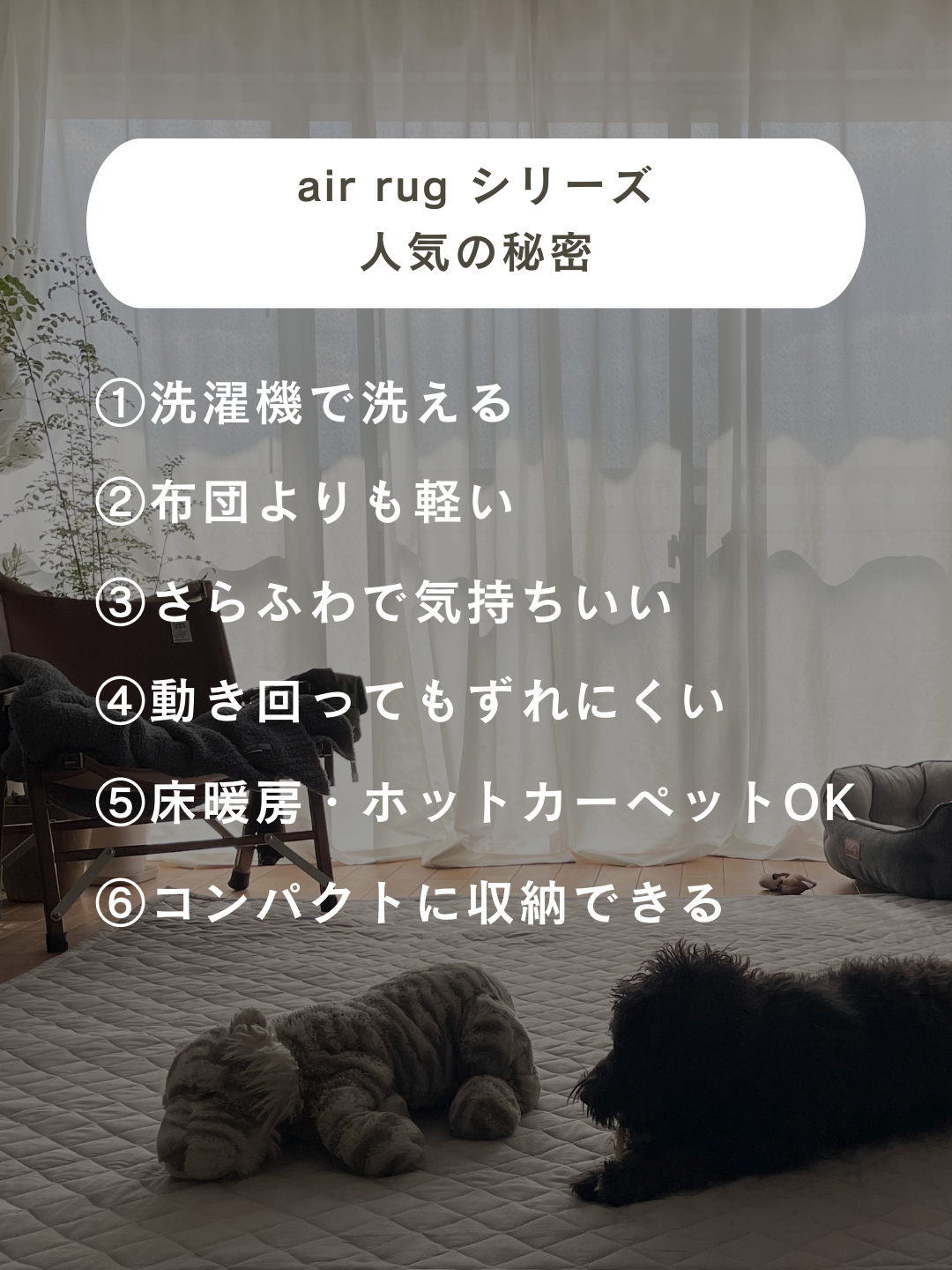 air rug benefit.png__PID:99a410c9-7725-4fb2-82a2-28ee9973b93a