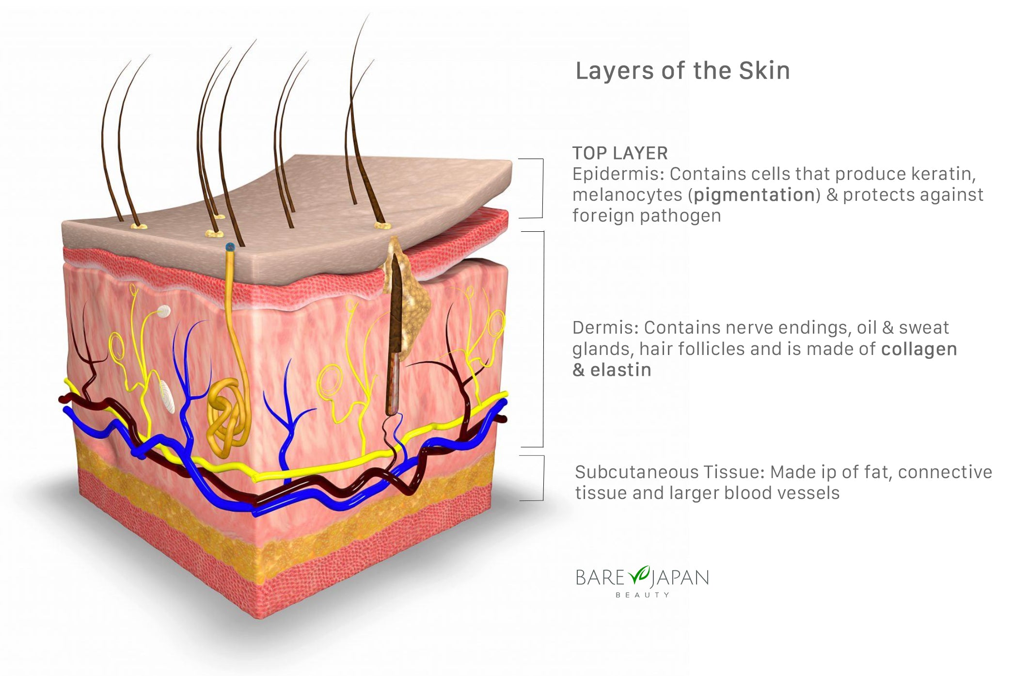 Dermis material for Seats. Skin layers 3d 1.20.1.