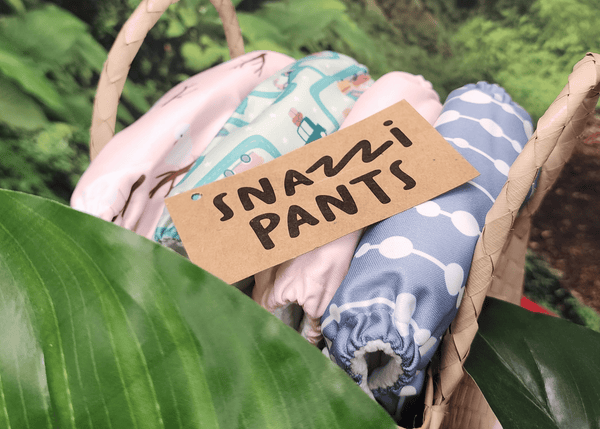 A group of four New Snazzipants All-in-One Cloth Nappy prints from the Brolly Sheets Whimsy Collection.