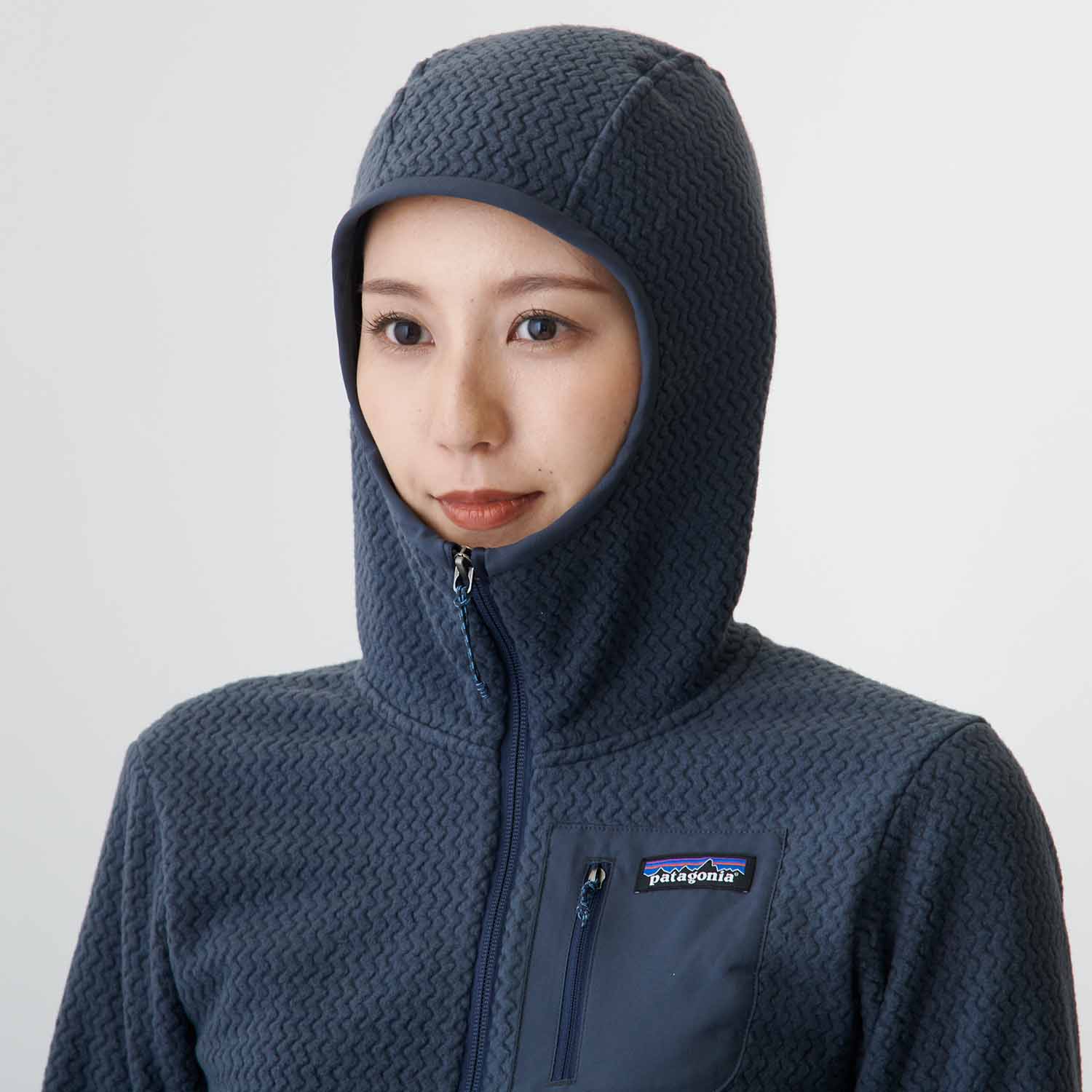 パタゴニア R1エアフルジップフーディ WOMENS | gulatilaw.com