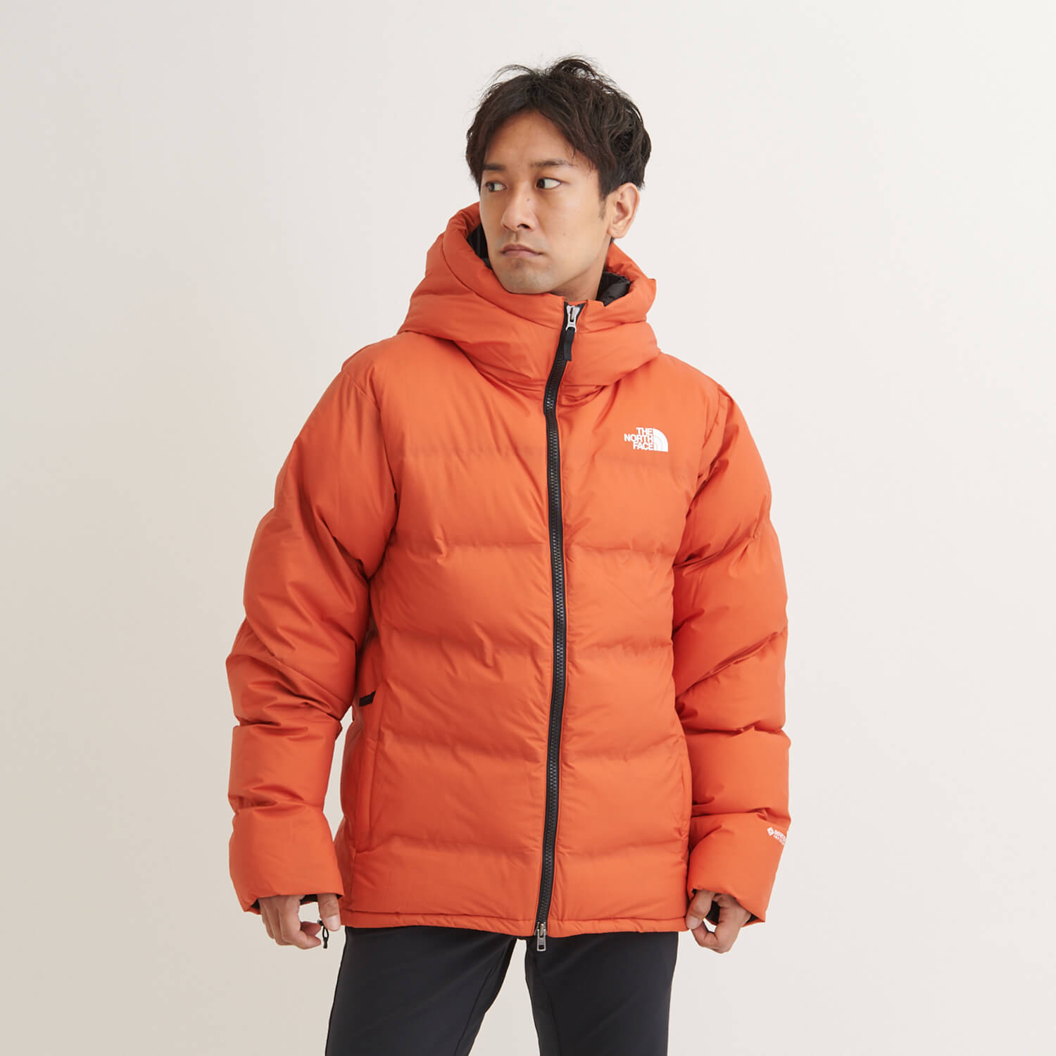 THE NORTH FACE メンズ ビレイヤーパーカND91815 - ダウンジャケット